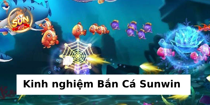 Bắn Cá Sunwin - Chinh phục đại dương, game đổi thưởng top 1 3 Kinh nghiệm chơi Bắn Cá Sunwin